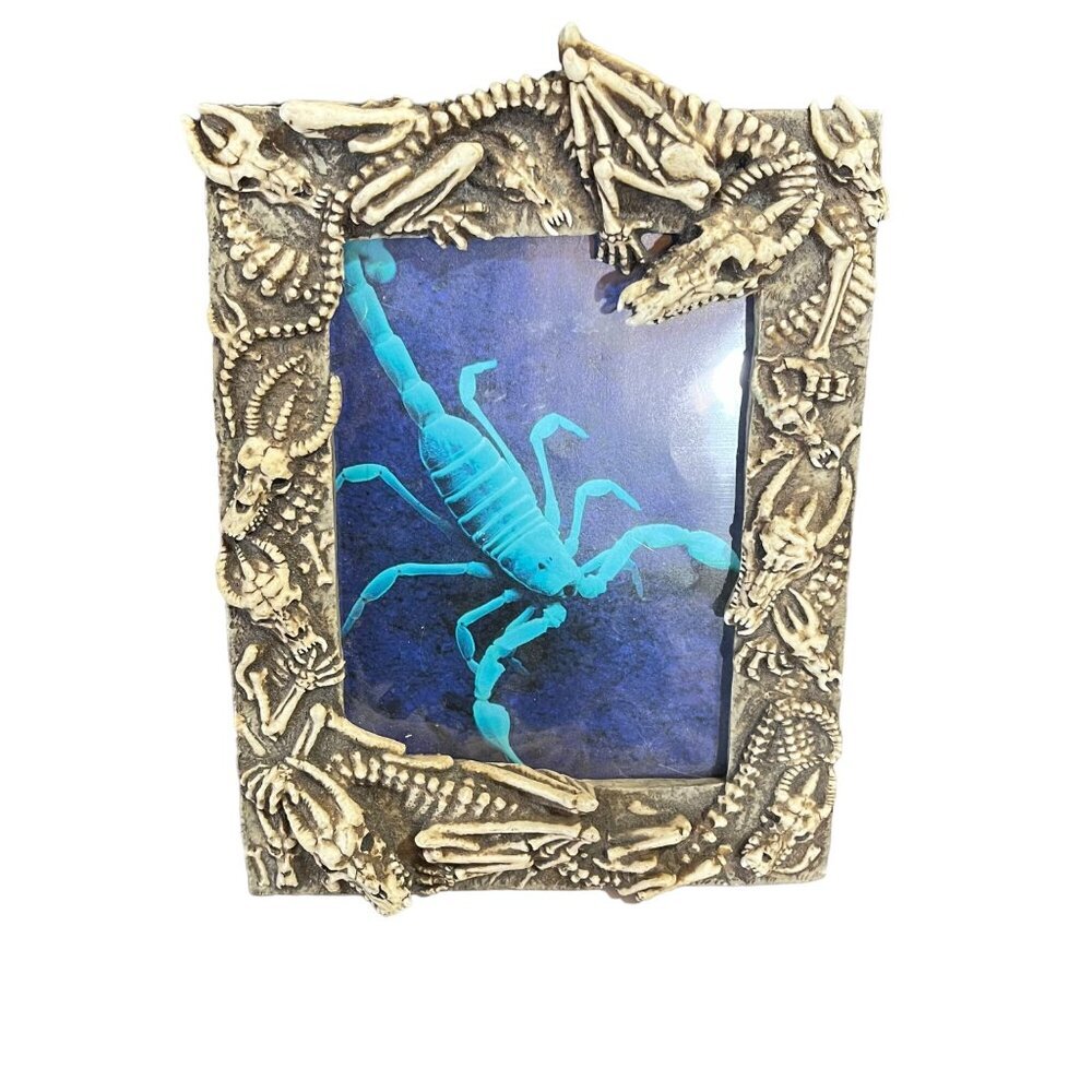 Skeleton Fossil Resin Picture Frame With‎ Blue Scorpion Photo